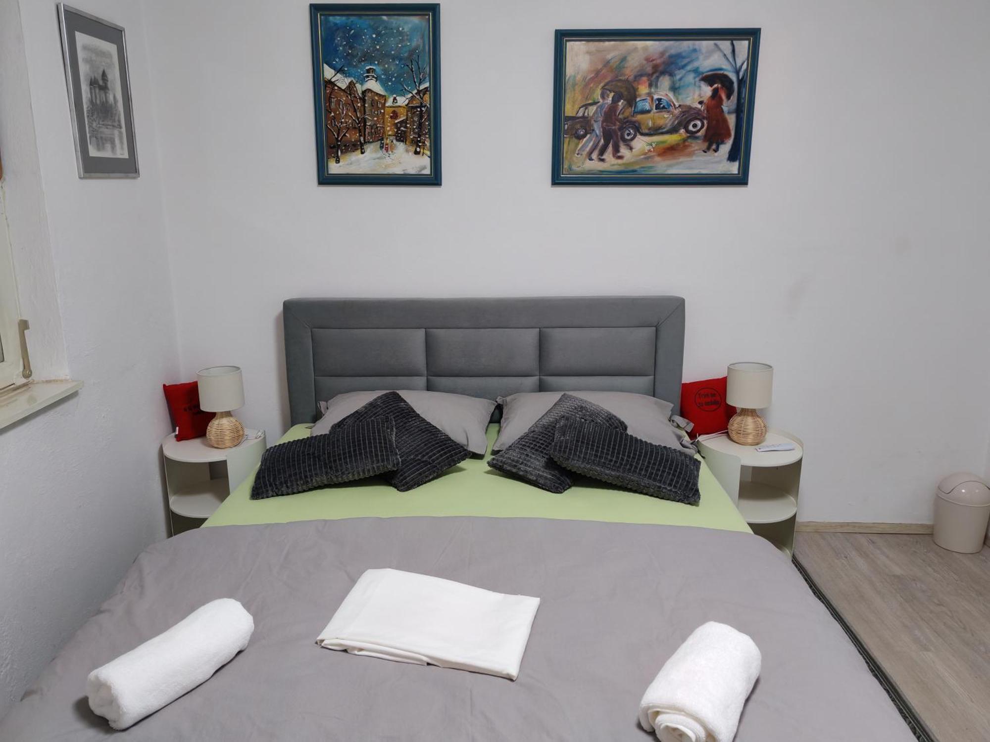 Apartman Ivana Karlovac Bagian luar foto
